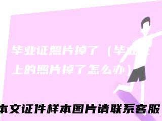 毕业证照片掉了(毕业证上的照片掉了怎么办)