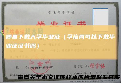 哪里下载大学毕业证（学信网可以下载毕业证证书吗）