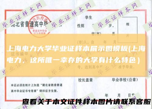 上海电力大学毕业证样本展示图模板(上海电力，这所唯一幸存的大学有什么特色）