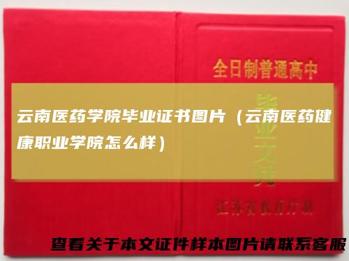 云南医药学院毕业证书图片（云南医药健康职业学院怎么样）