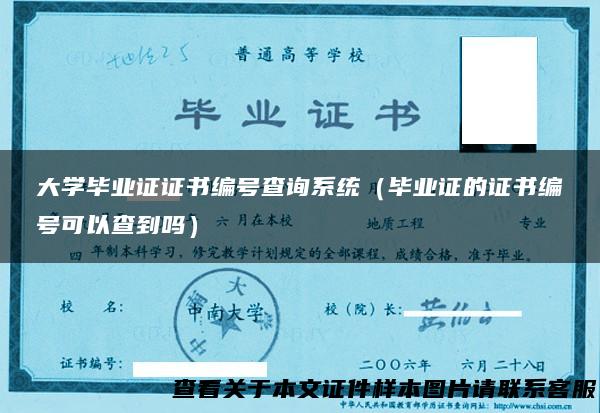 大学毕业证证书编号查询系统（毕业证的证书编号可以查到吗）