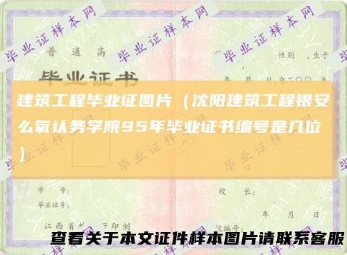 建筑工程毕业证图片（沈阳建筑工程银安么氧认务学院95年毕业证书编号是几位）