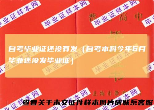 自考毕业证还没有发（自考本科今年6月毕业还没发毕业证）