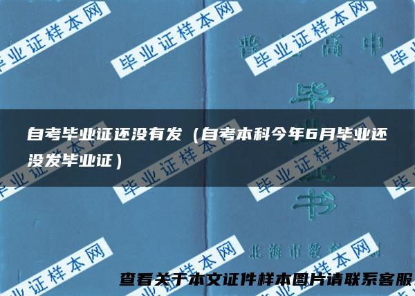自考毕业证还没有发（自考本科今年6月毕业还没发毕业证）