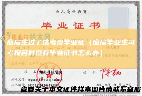 应届生过了法考没毕业证(应届毕业生司考报名时没有毕业证书怎么办)