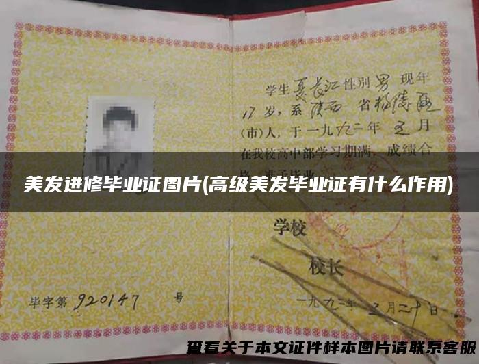 美发进修毕业证图片(高级美发毕业证有什么作用)