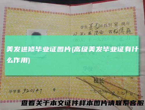 美发进修毕业证图片(高级美发毕业证有什么作用)