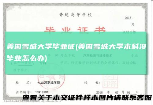 美国雪城大学毕业证(美国雪城大学本科没毕业怎么办)