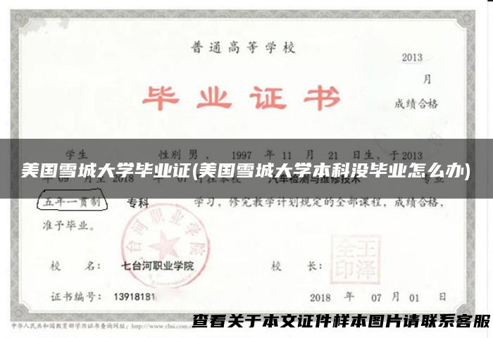 美国雪城大学毕业证(美国雪城大学本科没毕业怎么办)