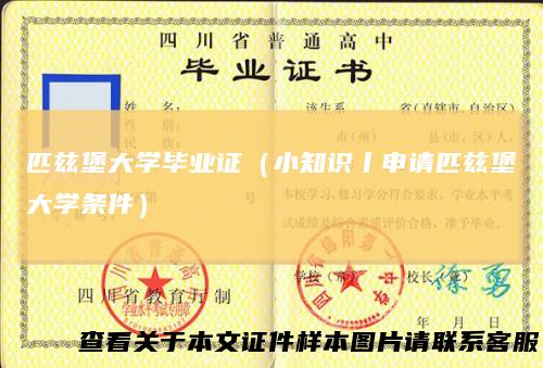 匹兹堡大学毕业证(小知识丨申请匹兹堡大学条件)