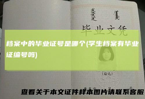 档案中的毕业证号是哪个(学生档案有毕业证编号吗)