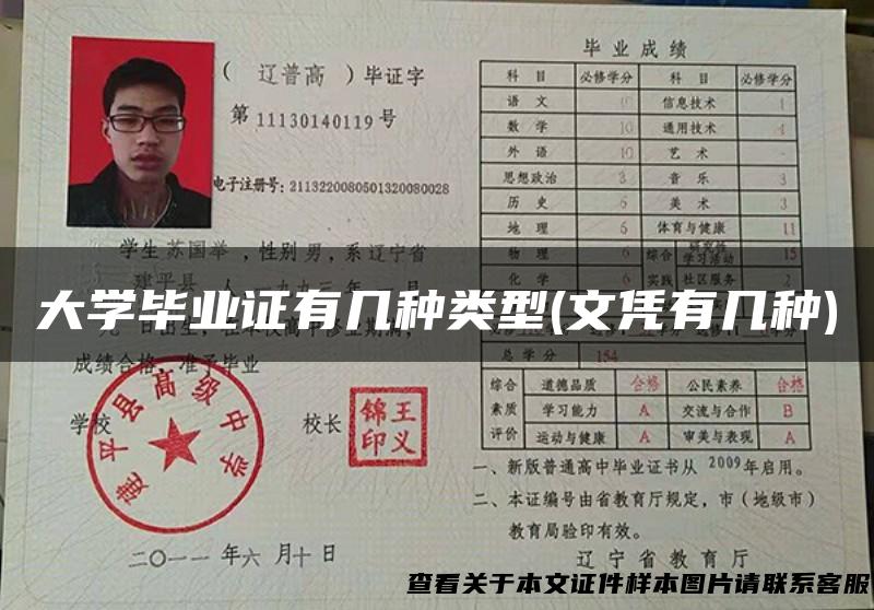 大学毕业证有几种类型(文凭有几种)