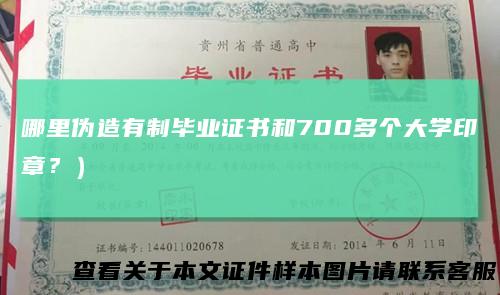 哪里伪造有制毕业证书和700多个大学印章？）