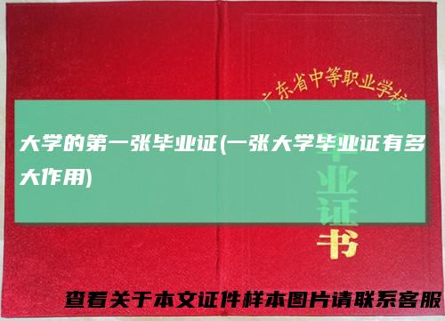大学的第一张毕业证(一张大学毕业证有多大作用)