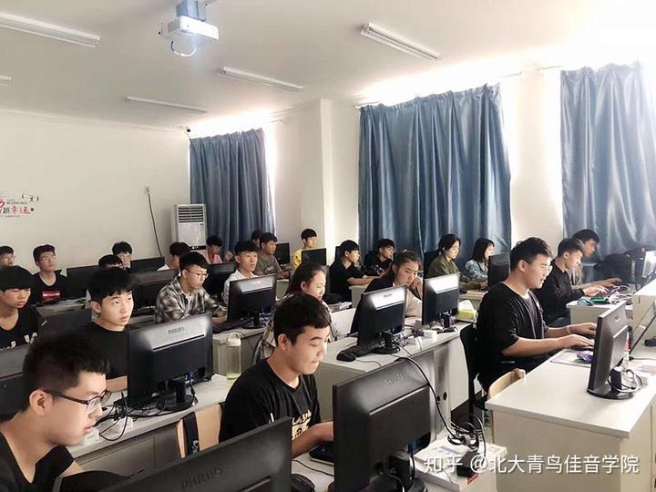 北大青鸟可以发什么毕业证（北大青鸟有文凭吗）插图