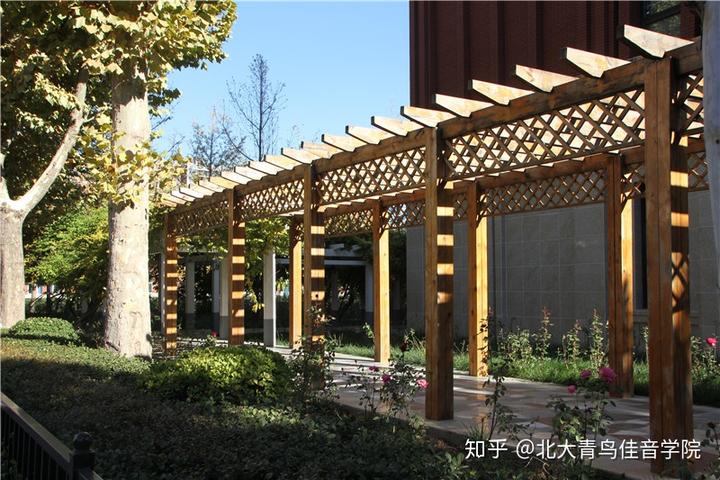 北大青鸟可以发什么毕业证（北大青鸟有文凭吗）插图2