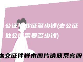 公证毕业证多少钱(去公证处公证需要多少钱)