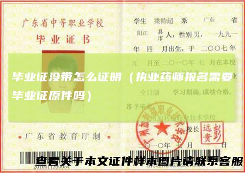毕业证没带怎么证明（执业药师报名需要毕业证原件吗）