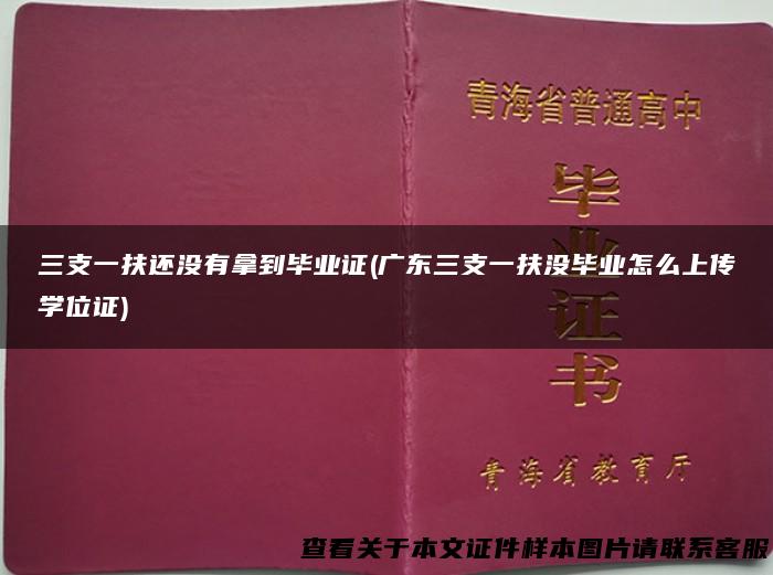 三支一扶还没有拿到毕业证(广东三支一扶没毕业怎么上传学位证)