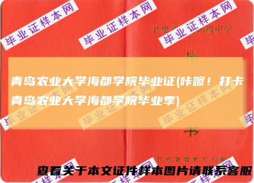 青岛农业大学海都学院毕业证(咔嚓！打卡青岛农业大学海都学院毕业季)