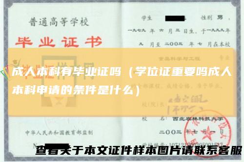 成人本科有毕业证吗（学位证重要吗成人本科申请的条件是什么）