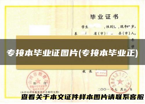 专接本毕业证图片(专接本毕业正)