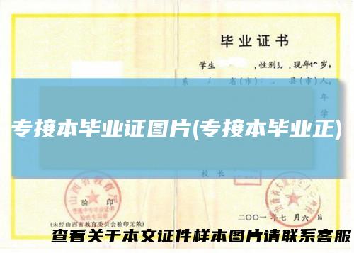 专接本毕业证图片(专接本毕业正)