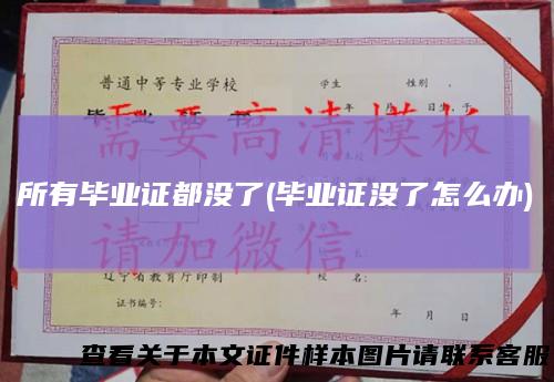 所有毕业证都没了(毕业证没了怎么办)