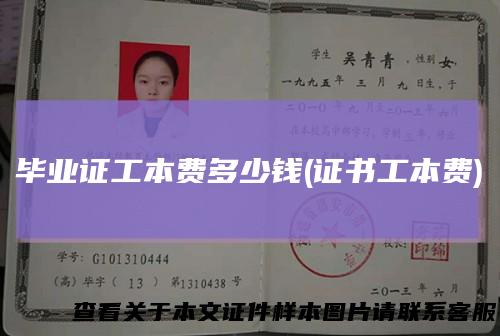 毕业证工本费多少钱(证书工本费)