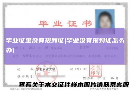 毕业证里没有报到证(毕业没有报到证怎么办)