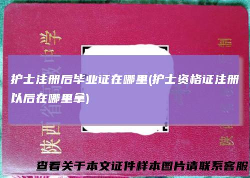 护士注册后毕业证在哪里(护士资格证注册以后在哪里拿)