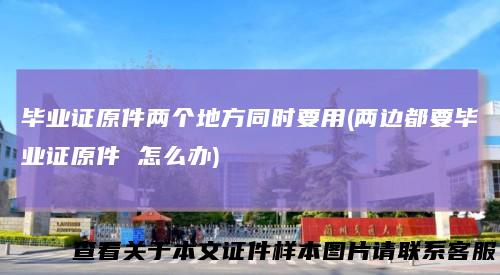 毕业证原件两个地方同时要用(两边都要毕业证原件怎么办)