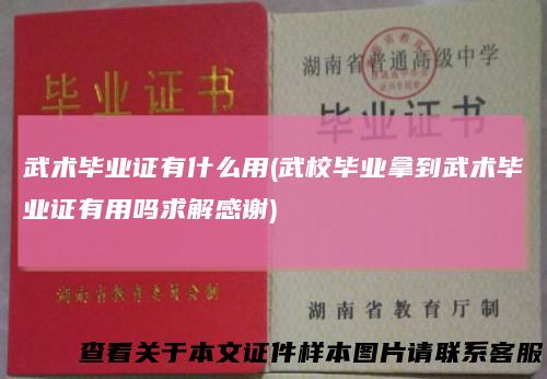 武术毕业证有什么用(武校毕业拿到武术毕业证有用吗求解感谢)