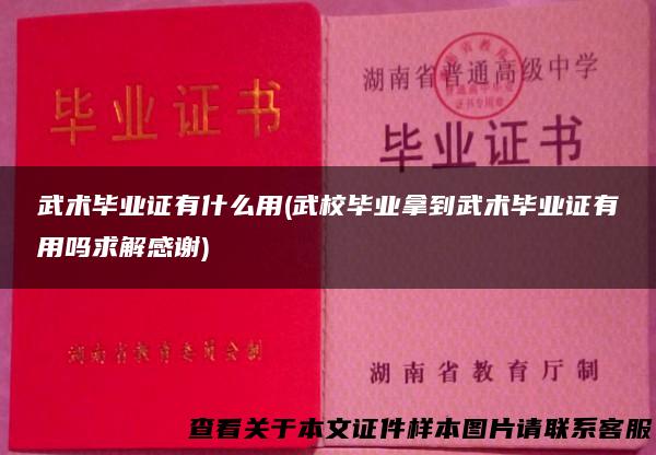 武术毕业证有什么用(武校毕业拿到武术毕业证有用吗求解感谢)