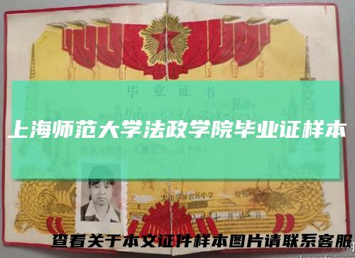 上海师范大学法政学院毕业证样本