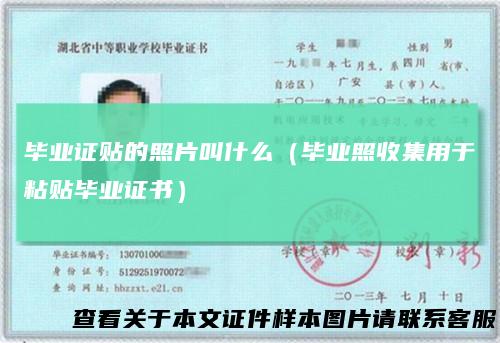 毕业证贴的照片叫什么（毕业照收集用于粘贴毕业证书）