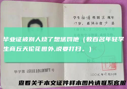 毕业证被别人烧了想惩罚他(数百名年轻学生商丘天伦花园外,说要打扫。)