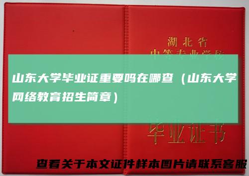 山东大学毕业证重要吗在哪查（山东大学网络教育招生简章）