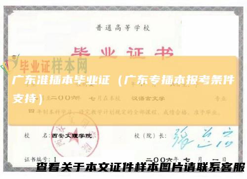 广东准插本毕业证(广东专插本报考条件支持)