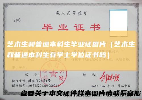 艺术生和普通本科生毕业证图片（艺术生和普通本科生有学士学位证书吗）