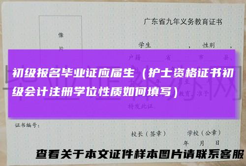 初级报名毕业证应届生（护士资格证书初级会计注册学位性质如何填写）