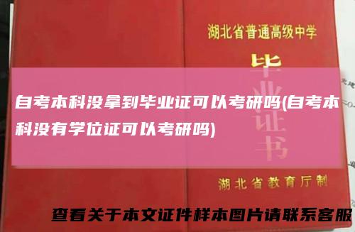 自考本科没拿到毕业证可以考研吗(自考本科没有学位证可以考研吗)
