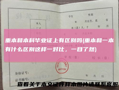 重本和本科毕业证上有区别吗(重本和一本有什么区别这样一对比，一目了然)
