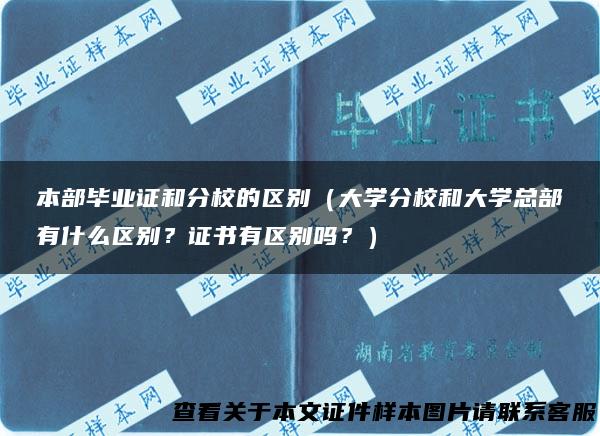 本部毕业证和分校的区别（大学分校和大学总部有什么区别？证书有区别吗？）