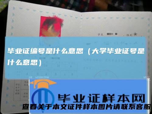 毕业证编号是什么意思（大学毕业证号是什么意思）