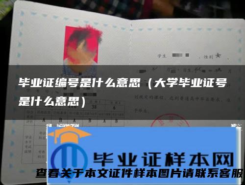 毕业证编号是什么意思（大学毕业证号是什么意思）