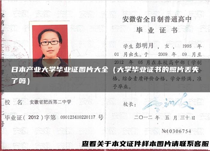 日本产业大学毕业证图片大全（大学毕业证书的照片丢失了吗）