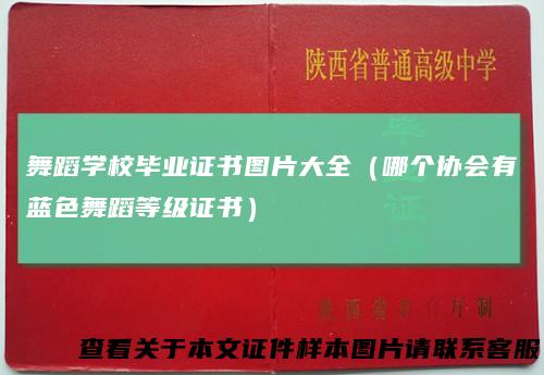 舞蹈学校毕业证书图片大全（哪个协会有蓝色舞蹈等级证书）