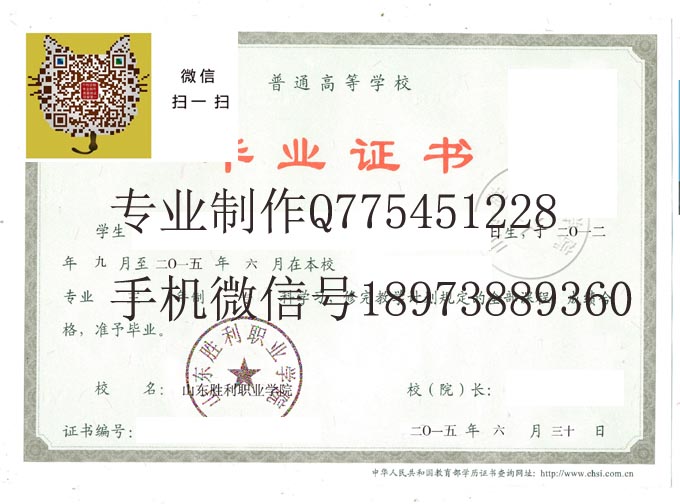 山东胜利职业学院毕业证样本展示图片